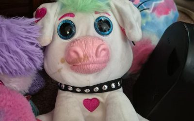 Clothes Distribution