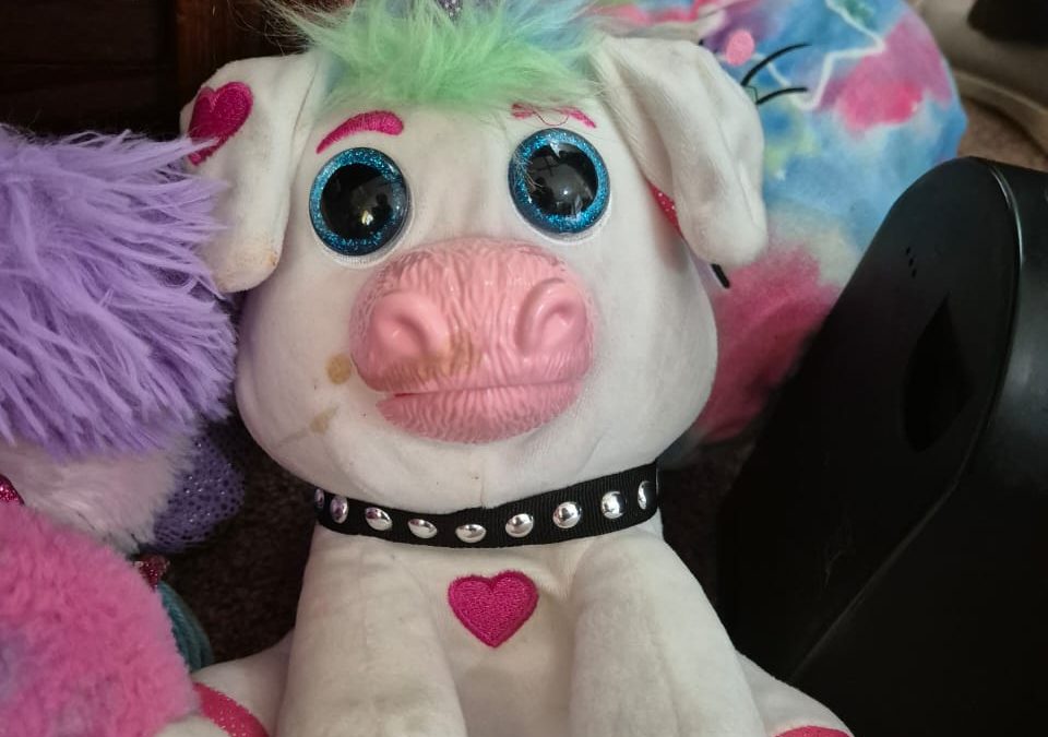 Clothes Distribution